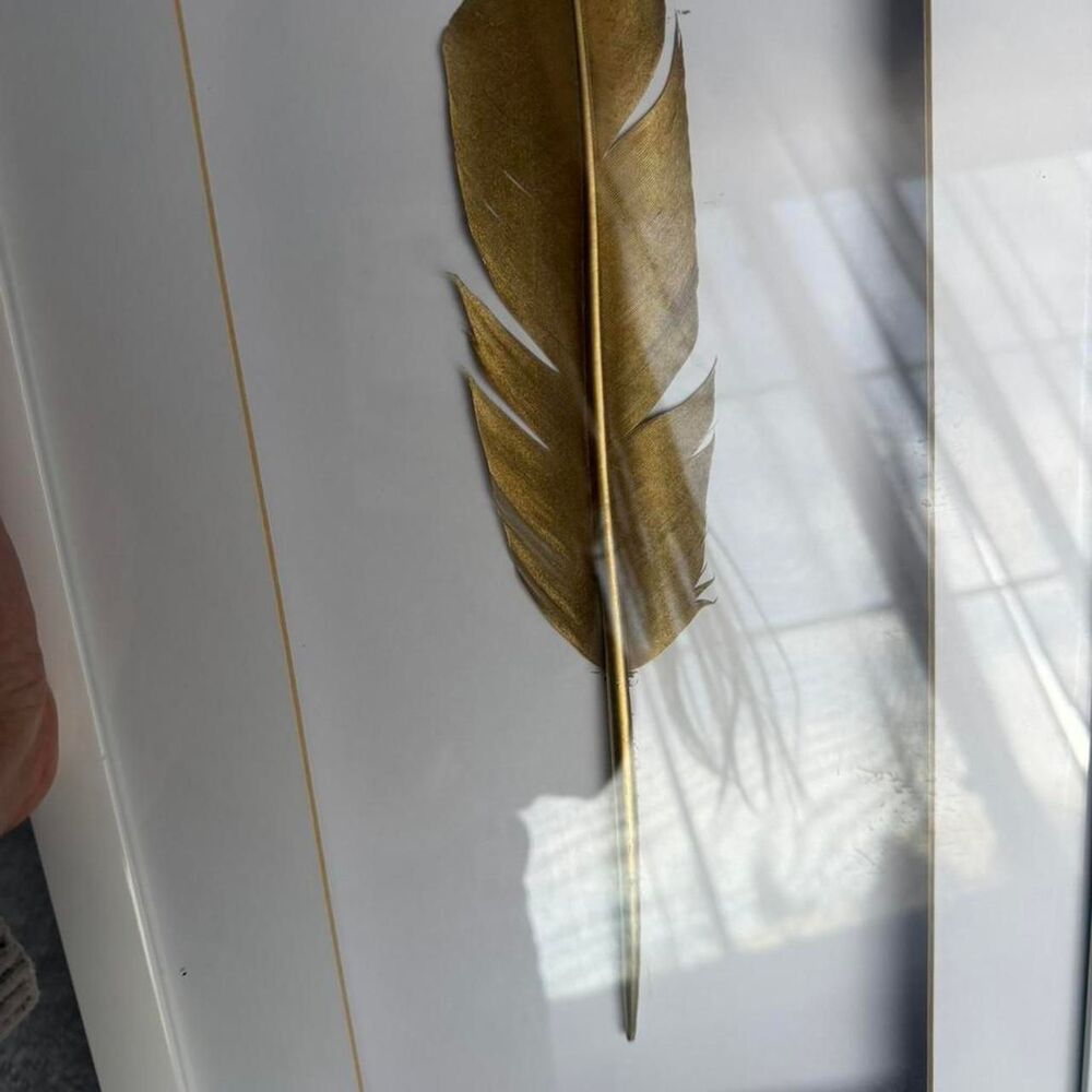 Z Gallerie feather art shadow box Decor-home-accesories